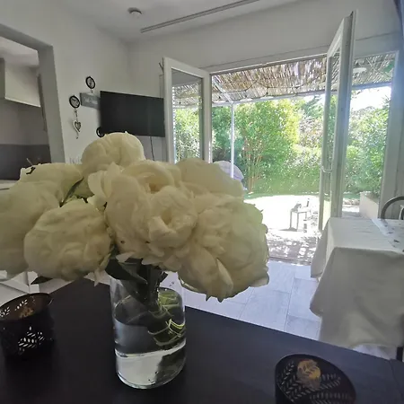 公寓 Jardin Privatif 300m De La 圣马克西姆